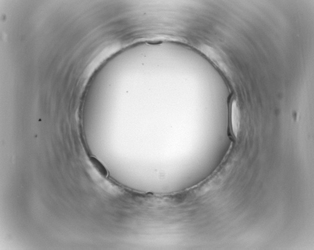 X0000088151189200705291415