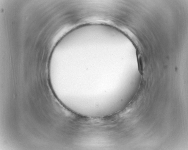 X0000088151191200705291415