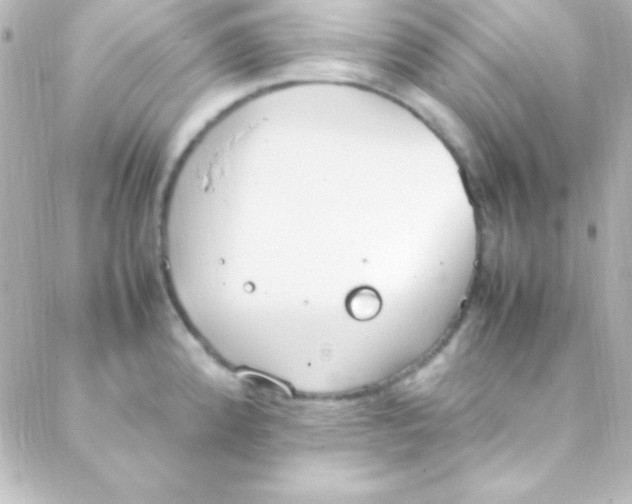 X0000088151192200705291415