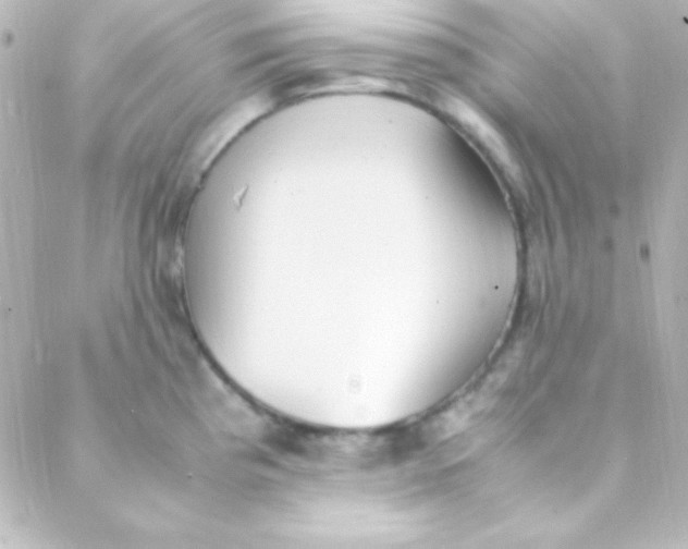 X0000088151193200705291415