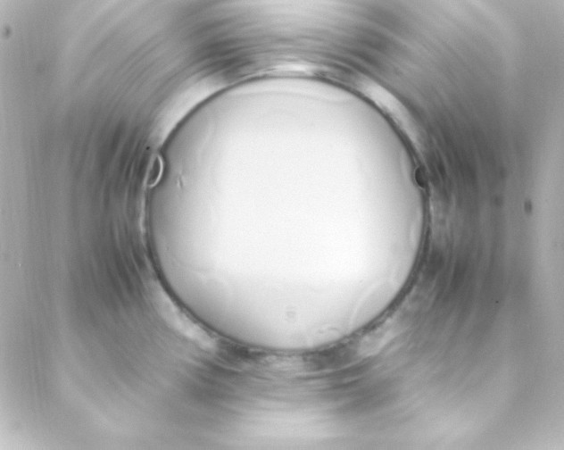 X0000088151194200705291415