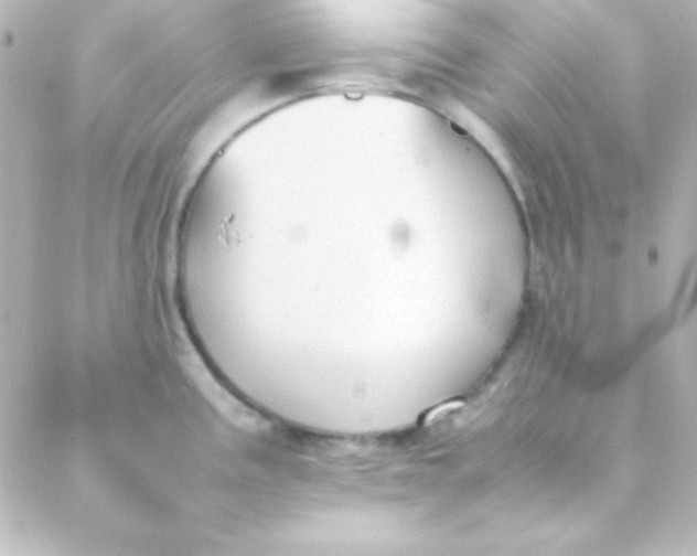 X0000088151195200705291415