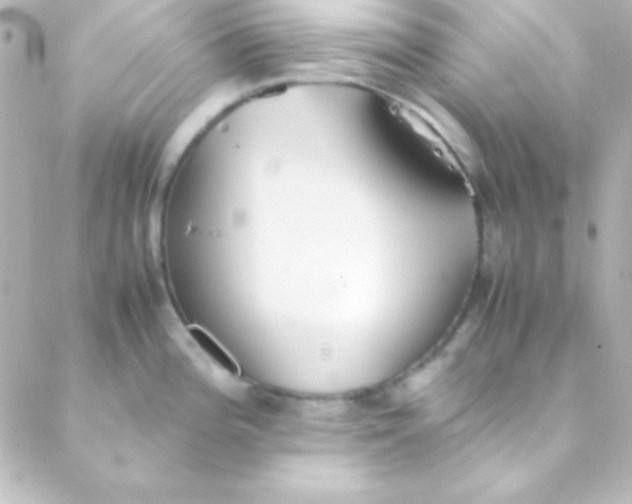 X0000088151196200705291415