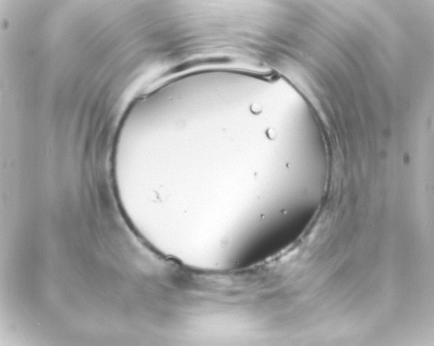 X0000088151197200705291415