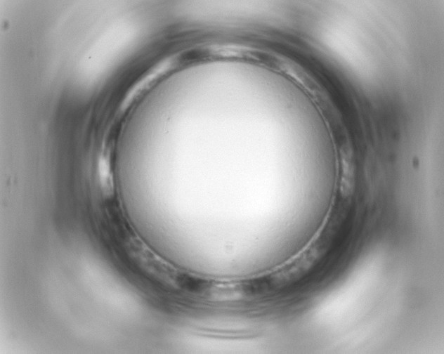 X0000088151198200705291415