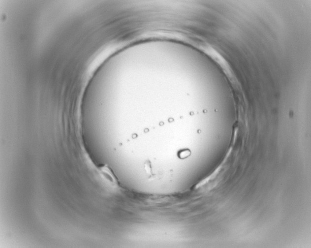 X0000088151199200705291415