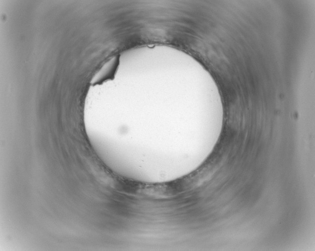 X0000088151201200705291414