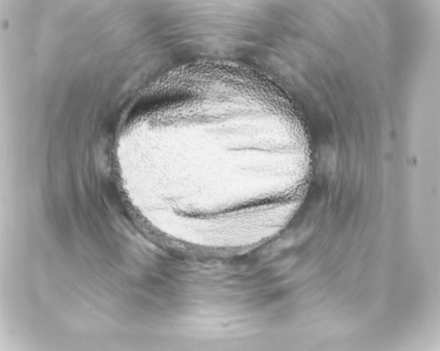 X0000088151202200705291414