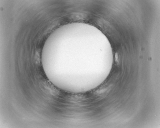 X0000088151203200705291414