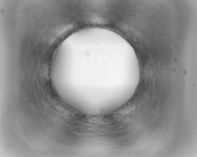 X0000088151205200705291414