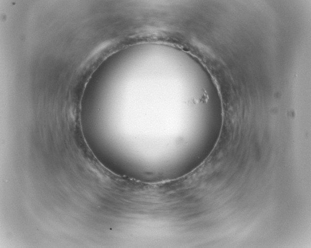 X0000088151206200705291414