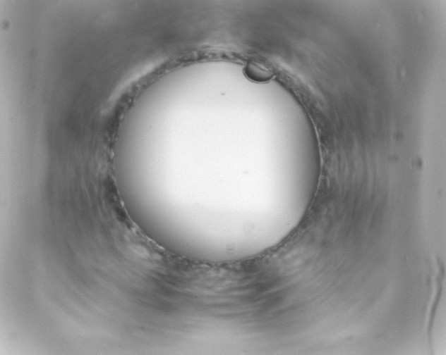 X0000088151207200705291414