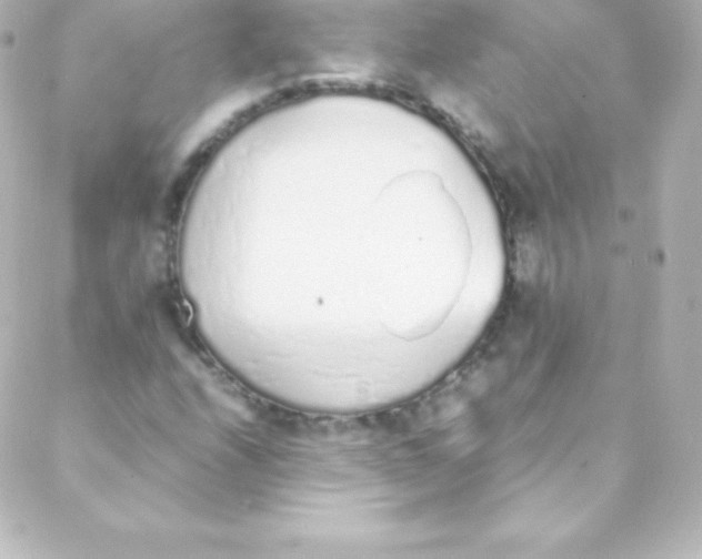 X0000088151208200705291414