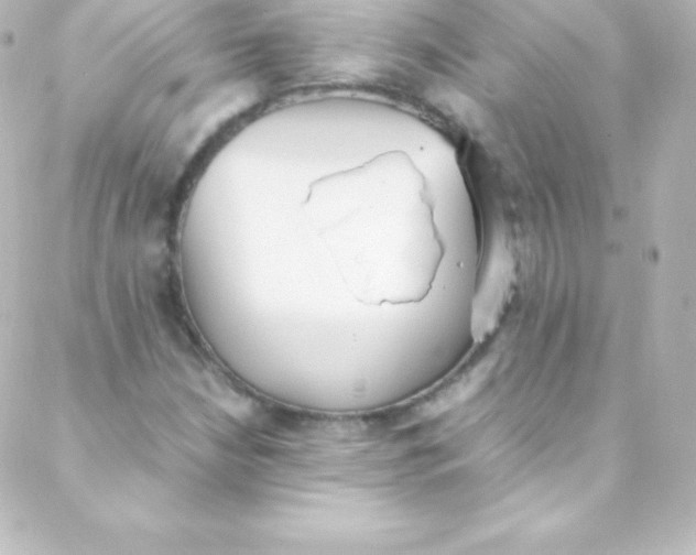 X0000088151210200705291414