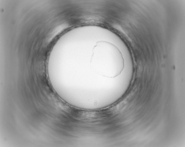 X0000088151211200705291414