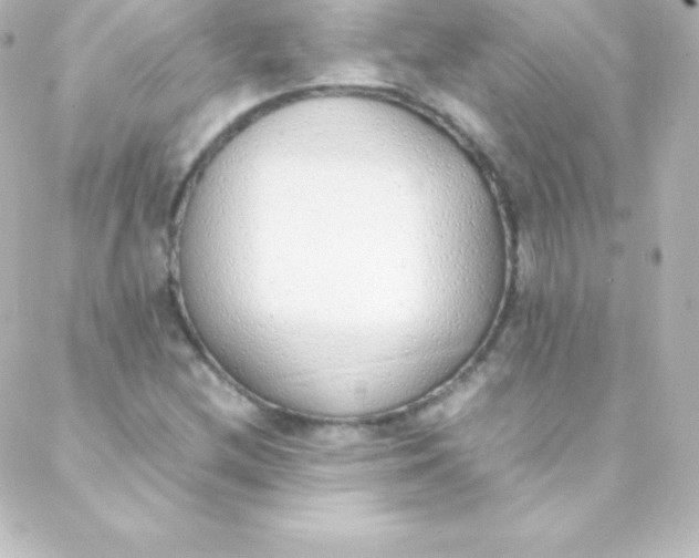 X0000088151212200705291414