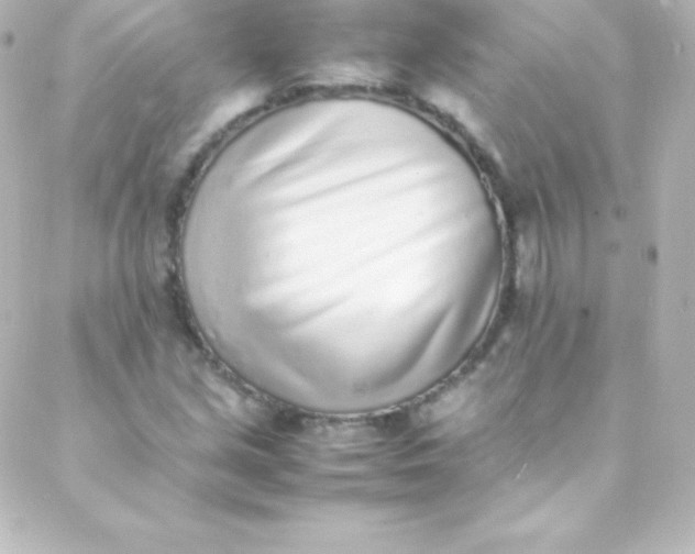 X0000088151213200705291414