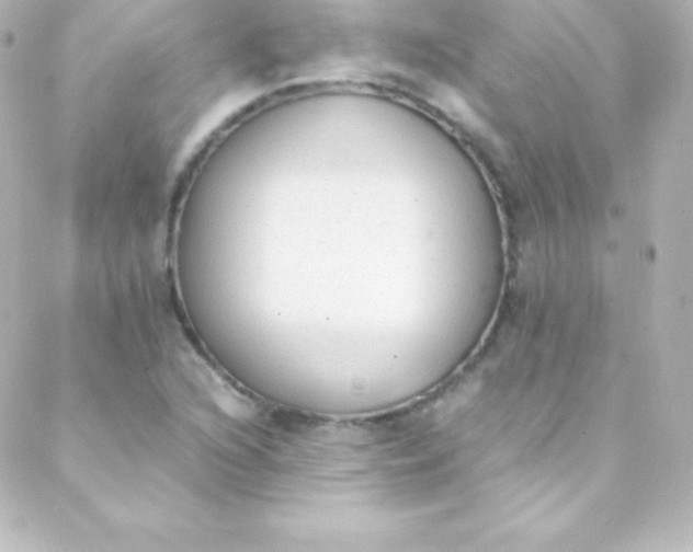 X0000088151216200705291414