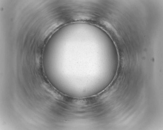 X0000088151217200705291414