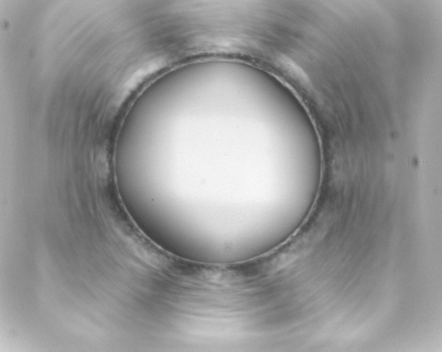 X0000088151218200705291414