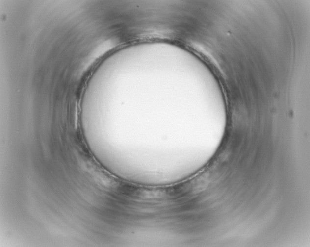 X0000088151219200705291414