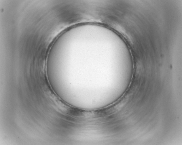 X0000088151220200705291414