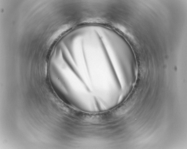 X0000088151221200705291414