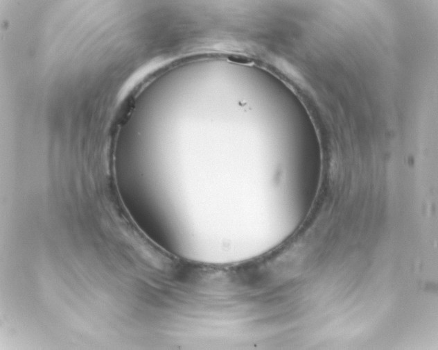 X0000088151222200705291414