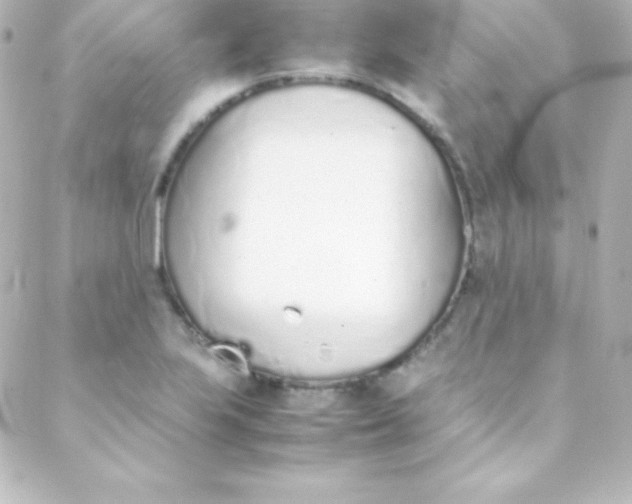 X0000088151223200705291414