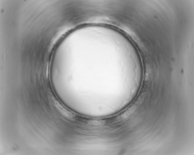 X0000088151224200705291414