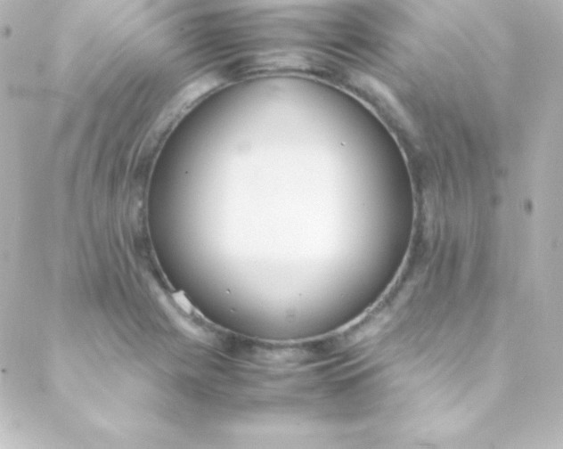 X0000088151225200705291414