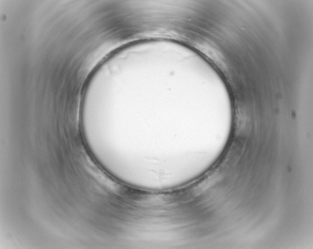 X0000088151228200705291414