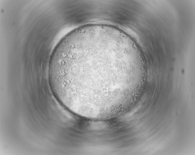 X0000088151231200705291414