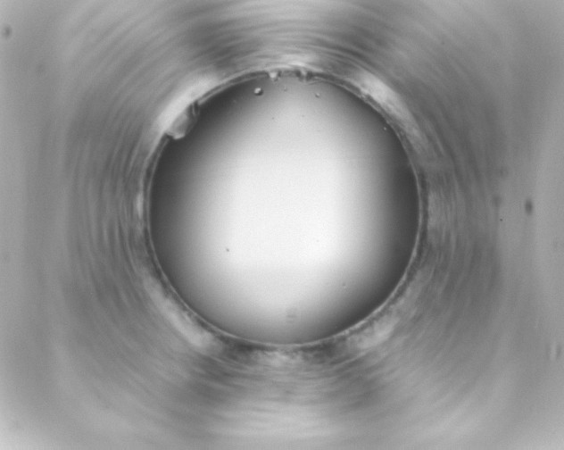 X0000088151234200705291414