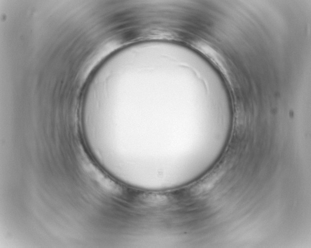 X0000088151235200705291414