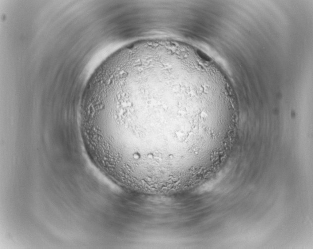 X0000088151239200705291415