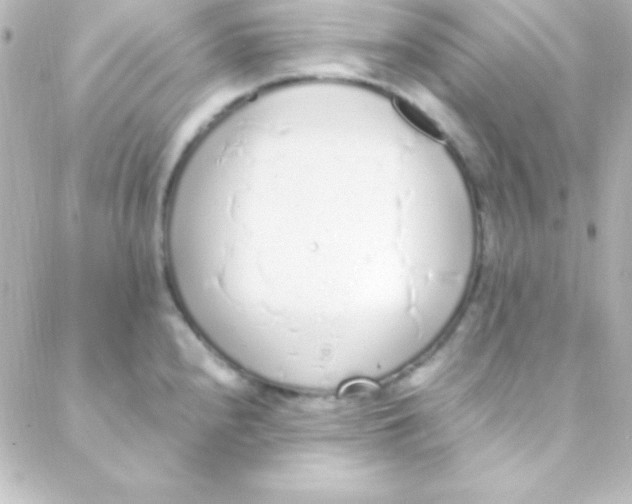 X0000088151240200705291415