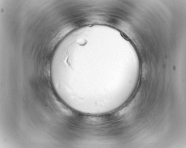 X0000088151241200705291415