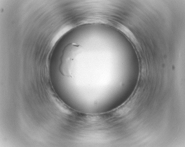 X0000088151242200705291415