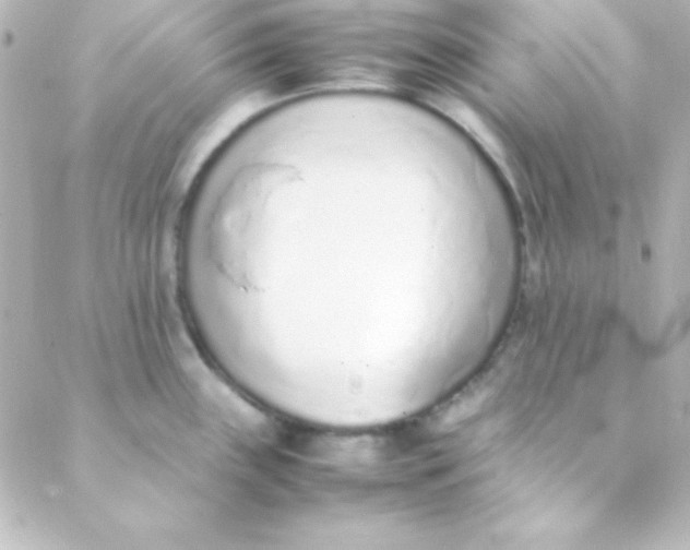 X0000088151243200705291415