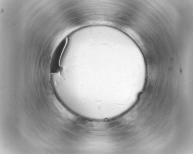 X0000088151244200705291415