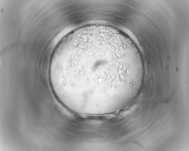 X0000088151245200705291415