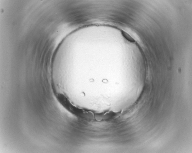 X0000088151247200705291415