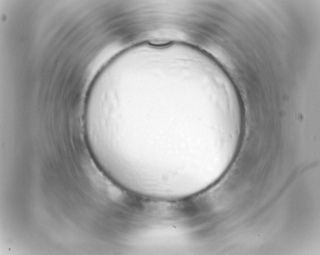 X0000088151248200705291415