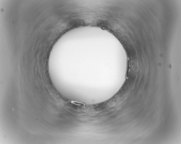 X0000088151249200705291414