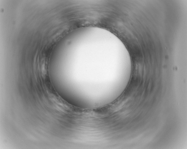 X0000088151250200705291414