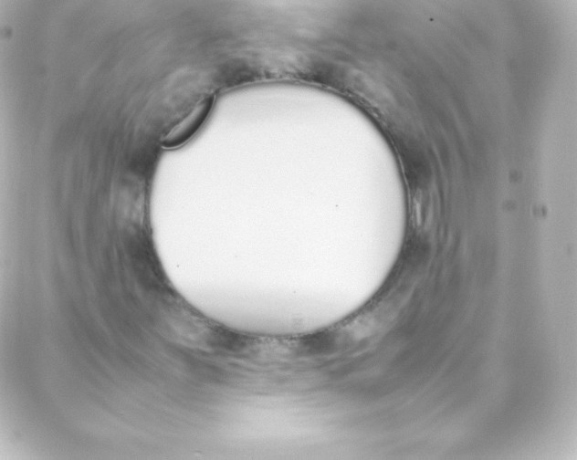 X0000088151251200705291414