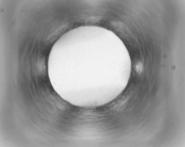 X0000088151252200705291414