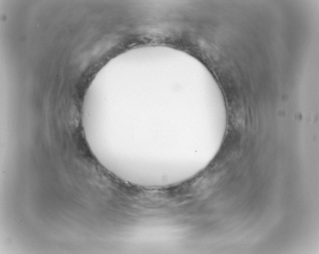 X0000088151253200705291414