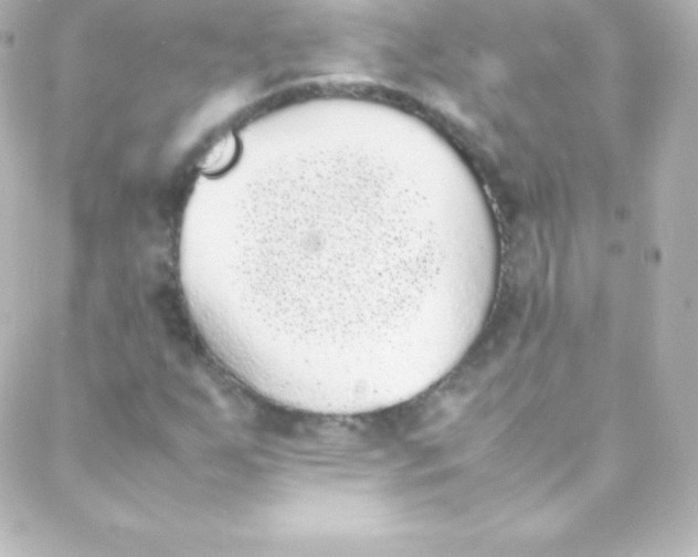 X0000088151255200705291414